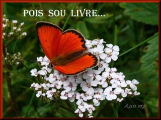 Pois sou livre...
 