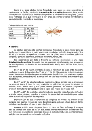 Como é a única abelha fêmea fecundada, põe todos os ovos necessários à
continuidade da família, mantendo a organização e a união do enxame. Uma abelha
rainha põe dois tipos de ovos: fertilizados (operárias) e não fertilizados (zangões). Quando
a sua fertilidade cai, o que ocorre após 3 ou 4 anos, as abelhas operárias providenciam a
sua substituição, repetindo-se o processo.
Ciclo evolutivo de uma rainha:
Ovo 1 ao 3 dias
Larva 4 ao 8 dias
Pupa 9 ao 16 dias
Nasce 16 dias
Vivem de 3 a 5 anos
A operária
As abelhas operárias são abelhas fêmeas não fecundadas e as de menor porte da
família, embora constituem o maior número de população, podendo situar-se entre 50 a
80 mil por enxame. As operárias possuem cesta de pólen, vesícula melífera, glândulas
cerígenas, glândulas odoríferas, glândulas de veneno, ferrão, etc.
São responsáveis por todo o trabalho da colmeia, obedecendo a uma rígida
distribuição de serviços de acordo com as sucessivas transformações que se ocorrem
em seu organismo no decorrer do seu tempo de vida. Assim, até o 21° dia ficam dentro
da colméia.
Do 1° ao 3° dia fazem a limpeza da caixa e reformam os favos onde nasceram,
recebendo o nome de faxineiras. Do 4° até o 14° dia de vida preparam o alimento para as
larvas. Nessa fase da vida elas possuem dois pares de glândulas que produzem a geleia
real. Essa geleia, necessária para as larvas com até três dias de idade, é chamada de pão
das abelhas.
Do 14° ao 18° dia são chamadas de carpinteiras. Nesse período elas se preocupam
em construir favos, à base de cera, produzida por glândulas cerígenas, localizadas no
abdome. Cada abelha tem quatro pares dessas glândulas. As abelhas carpinteiras
precisam de muito mel para produzir cera: 1 kg de cera requer até 7 kg de mel.
Do 18° ao 20° dia as abelhas são chamadas de guardiãs. Nessa fase elas defendem
a família contra inimigos, impedem a entrada de outras abelhas na colméia para roubar
mel e atacam até o apicultor despreparado.
Depois do 21° dia elas são chamadas de campeiras até morrer. No primeiro dia de
campeira elas fazem a revoada ao redor da colmeia para conhecer o local. Daí em diante,
trabalham recolhendo o néctar e o pólen das flores.
O néctar trazido pelas campeiras dentro do papo, ou falso estômago, é entregue
para as abelhas com idade de 4 a 14 dias. Essas abelhas transformam o néctar em mel,
com fermentos produzidos no estômago. Quando o mel está maduro as abelhas fechas os
alvéolos com tampas de cera chamadas opérculos.
2
 