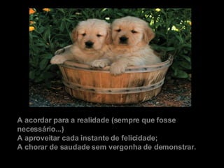 A acordar para a realidade (sempre que fosse necessário...) A aproveitar cada instante de felicidade; A chorar de saudade sem vergonha de demonstrar. 