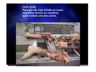 (1CO 12:25) Para que não haja divisão no corpo,  mas antes tenham os membros, igual cuidado uns dos outros.  