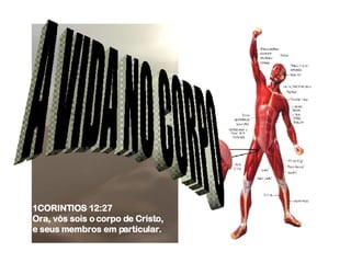A VIDA NO CORPO 1CORINTIOS 12:27  Ora, vós sois o corpo de Cristo,  e seus membros em particular.  