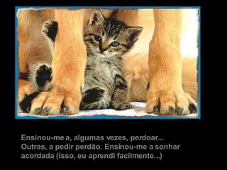 Ensinou-me a, algumas vezes, perdoar... Outras, a pedir perdão. Ensinou-me a sonhar acordada (isso, eu aprendi facilmente...) 