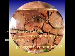 A Vida Retribui E Transfere