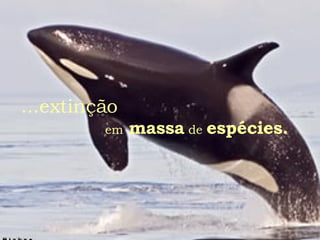 A Vida Retribui E Transfere