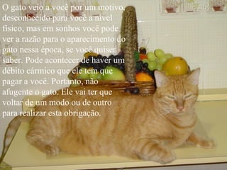 O gato veio a você por um motivo, desconhecido para você a nível físico, mas em sonhos você pode ver a razão para o aparecimento do gato nessa época, se você quiser saber. Pode acontecer de haver um débito cármico que ele tem que pagar a você. Portanto, não afugente o gato. Ele vai ter que voltar de um modo ou de outro para realizar esta obrigação.   
