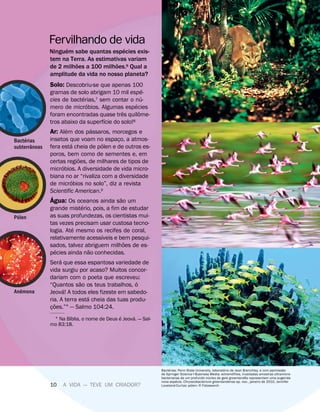 Solo: Descobriu-se que apenas 100
gramas de solo abrigam 10 mil esp
´
e-
cies de bact
´
erias,7 sem contar o n
´
u-
mero de micr
´
obios. Algumas esp
´
ecies
foram encontradas quase tr
ˆ
es quil
ˆ
ome-
tros abaixo da superf
´
ıcie do solo!8
Ar: Al
´
em dos p
´
assaros, morcegos e
insetos que voam no espaço, a atmos-
fera est
´
a cheia de p
´
olen e de outros es-
poros, bem como de sementes e, em
certas regi
˜
oes, de milhares de tipos de
micr
´
obios. A diversidade de vida micro-
biana no ar “rivaliza com a diversidade
de micr
´
obios no solo”, diz a revista
Scientific American.9
´
Agua: Os oceanos ainda s
˜
ao um
grande mist
´
erio, pois, a fim de estudar
as suas profundezas, os cientistas mui-
tas vezes precisam usar custosa tecno-
logia. At
´
e mesmo os recifes de coral,
relativamente acess
´
ıveis e bem pesqui-
sados, talvez abriguem milh
˜
oes de es-
p
´
ecies ainda n
˜
ao conhecidas.
Ser
´
a que essa espantosa variedade de
vida surgiu por acaso? Muitos concor-
dariam com o poeta que escreveu:
“Quantos s
˜
ao os teus trabalhos,
´
o
Jeov
´
a! A todos eles fizeste em sabedo-
ria. A terra est
´
a cheia das tuas produ-
ç
˜
oes.”1 — Salmo 104:24.
1 Na B
´
ıblia, o nome de Deus
´
e Jeov
´
a. — Sal-
mo 83:18.
Fervilhando de vida
Ningu
´
em sabe quantas esp
´
ecies exis-
tem na Terra. As estimativas variam
de 2 milh
˜
oes a 100 milh
˜
oes.6 Qual a
amplitude da vida no nosso planeta?
Bact
´
erias
subterr
ˆ
aneas
P
´
olen
An
ˆ
emona
Bact
´
erias: Penn State University, laborat
´
orio de Jean Brenchley, e com permiss
˜
ao
de Springer ScienceBusiness Media: extrem
´
ofilos, inusitadas amostras ultramicro-
bacterianas de um profundo n
´
ucleo de gelo groenland
ˆ
es representam uma sugerida
nova esp
´
ecie, Chryseobacterium greenlandense sp. nov., janeiro de 2010, Jennifer
Loveland-Curtze; p
´
olen: 5 Fotosearch
10 A VIDA — TEVE UM CRIADOR?
 