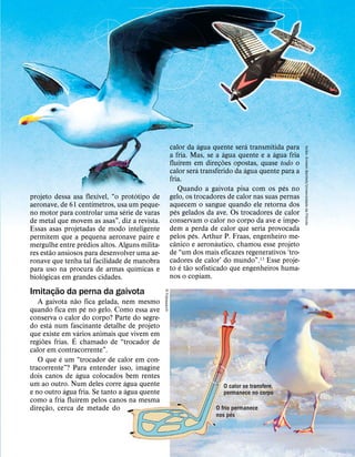 projeto dessa asa flex
´
ıvel, “o prot
´
otipo de
aeronave, de 61 cent
´
ımetros, usa um peque-
no motor para controlar uma s
´
erie de varas
de metal que movem as asas”, diz a revista.
Essas asas projetadas de modo inteligente
permitem que a pequena aeronave paire e
mergulhe entre pr
´
edios altos. Alguns milita-
res est
˜
ao ansiosos para desenvolver uma ae-
ronave que tenha tal facilidade de manobra
para uso na procura de armas qu
´
ımicas e
biol
´
ogicas em grandes cidades.
Imitaç
˜
ao da perna da gaivota
A gaivota n
˜
ao fica gelada, nem mesmo
quando fica em p
´
e no gelo. Como essa ave
conserva o calor do corpo? Parte do segre-
do est
´
a num fascinante detalhe de projeto
que existe em v
´
arios animais que vivem em
regi
˜
oes frias.
´
E chamado de “trocador de
calor em contracorrente”.
O que
´
e um “trocador de calor em con-
tracorrente”? Para entender isso, imagine
dois canos de
´
agua colocados bem rentes
um ao outro. Num deles corre
´
agua quente
e no outro
´
agua fria. Se tanto a
´
agua quente
como a fria flu
´
ırem pelos canos na mesma
direç
˜
ao, cerca de metade do
calor da
´
agua quente ser
´
a transmitida para
a fria. Mas, se a
´
agua quente e a
´
agua fria
flu
´
ırem em direç
˜
oes opostas, quase todo o
calor ser
´
a transferido da
´
agua quente para a
fria.
Quando a gaivota pisa com os p
´
es no
gelo, os trocadores de calor nas suas pernas
aquecem o sangue quando ele retorna dos
p
´
es gelados da ave. Os trocadores de calor
conservam o calor no corpo da ave e impe-
dem a perda de calor que seria provocada
pelos p
´
es. Arthur P. Fraas, engenheiro me-
c
ˆ
anico e aeron
´
autico, chamou esse projeto
de “um dos mais eficazes regenerativos ‘tro-
cadores de calor’ do mundo”.13 Esse proje-
to
´
e t
˜
ao sofisticado que engenheiros huma-
nos o copiam.
Avi
˜
ao:
Kristen
Bartlett/Universidade
da
Fl
´
orida
5
Fotosearch
O calor se transfere,
permanece no corpo
O frio permanece
nos p
´
es
 