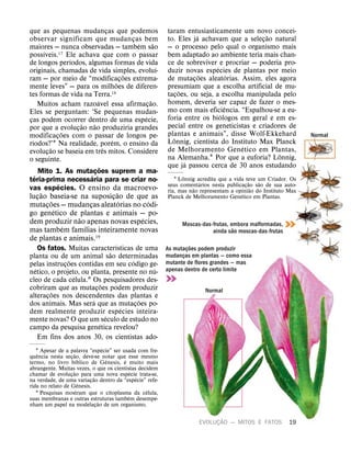 EVOLUÇ
˜
AO — MITOS E FATOS 19
que as pequenas mudanças que podemos
observar significam que mudanças bem
maiores — nunca observadas — tamb
´
em s
˜
ao
poss
´
ıveis.17 Ele achava que com o passar
de longos per
´
ıodos, algumas formas de vida
originais, chamadas de vida simples, evolu
´
ı-
ram — por meio de “modificaç
˜
oes extrema-
mente leves” — para os milh
˜
oes de diferen-
tes formas de vida na Terra.18
Muitos acham razo
´
avel essa afirmaç
˜
ao.
Eles se perguntam: ‘Se pequenas mudan-
ças podem ocorrer dentro de uma esp
´
ecie,
por que a evoluç
˜
ao n
˜
ao produziria grandes
modificaç
˜
oes com o passar de longos pe-
r
´
ıodos?’1 Na realidade, por
´
em, o ensino da
evoluç
˜
ao se baseia em tr
ˆ
es mitos. Considere
o seguinte.
Mito 1. As mutaç
˜
oes suprem a ma-
t
´
eria-prima necess
´
aria para se criar no-
vas esp
´
ecies. O ensino da macroevo-
luç
˜
ao baseia-se na suposiç
˜
ao de que as
mutaç
˜
oes — mudanças aleat
´
orias no c
´
odi-
go gen
´
etico de plantas e animais — po-
dem produzir n
˜
ao apenas novas esp
´
ecies,
mas tamb
´
em fam
´
ılias inteiramente novas
de plantas e animais.19
Os fatos. Muitas caracter
´
ısticas de uma
planta ou de um animal s
˜
ao determinadas
pelas instruç
˜
oes contidas em seu c
´
odigo ge-
n
´
etico, o projeto, ou planta, presente no n
´
u-
cleo de cada c
´
elula.2 Os pesquisadores des-
cobriram que as mutaç
˜
oes podem produzir
alteraç
˜
oes nos descendentes das plantas e
dos animais. Mas ser
´
a que as mutaç
˜
oes po-
dem realmente produzir esp
´
ecies inteira-
mente novas? O que um s
´
eculo de estudo no
campo da pesquisa gen
´
etica revelou?
Em fins dos anos 30, os cientistas ado-
1 Apesar de a palavra “esp
´
ecie” ser usada com fre-
qu
ˆ
encia nesta seç
˜
ao, deve-se notar que esse mesmo
termo, no livro b
´
ıblico de G
ˆ
enesis,
´
e muito mais
abrangente. Muitas vezes, o que os cientistas decidem
chamar de evoluç
˜
ao para uma nova esp
´
ecie trata-se,
na verdade, de uma variaç
˜
ao dentro da “esp
´
ecie” refe-
rida no relato de G
ˆ
enesis.
2 Pesquisas mostram que o citoplasma da c
´
elula,
suas membranas e outras estruturas tamb
´
em desempe-
nham um papel na modelaç
˜
ao de um organismo.
taram entusiasticamente um novo concei-
to. Eles j
´
a achavam que a seleç
˜
ao natural
— o processo pelo qual o organismo mais
bem adaptado ao ambiente teria mais chan-
ce de sobreviver e procriar — poderia pro-
duzir novas esp
´
ecies de plantas por meio
de mutaç
˜
oes aleat
´
orias. Assim, eles agora
presumiam que a escolha artificial de mu-
taç
˜
oes, ou seja, a escolha manipulada pelo
homem, deveria ser capaz de fazer o mes-
mo com mais efici
ˆ
encia. “Espalhou-se a eu-
foria entre os bi
´
ologos em geral e em es-
pecial entre os geneticistas e criadores de
plantas e animais”, disse Wolf-Ekkehard
L
¨
onnig, cientista do Instituto Max Planck
de Melhoramento Gen
´
etico em Plantas,
na Alemanha.1 Por que a euforia? L
¨
onnig,
que j
´
a passou cerca de 30 anos estudando
1 L
¨
onnig acredita que a vida teve um Criador. Os
seus coment
´
arios nesta publicaç
˜
ao s
˜
ao de sua auto-
ria, mas n
˜
ao representam a opini
˜
ao do Instituto Max
Planck de Melhoramento Gen
´
etico em Plantas.
Normal
Moscas-das-frutas, embora malformadas,
ainda s
˜
ao moscas-das-frutas
As mutaç
˜
oes podem produzir
mudanças em plantas — como essa
mutante de flores grandes — mas
apenas dentro de certo limite
Normal
 