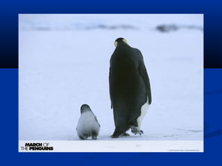 A  violencia en adolescentes