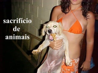 sacrifício de  animais 