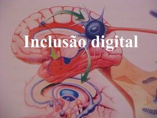 Inclusão digital 