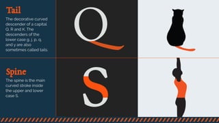 A Visual Guide to the Anatomy of Typography | PPT