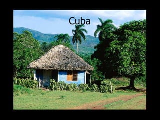 Cuba 
