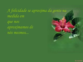 A felicidade se aproxima da gente na  medida em  que nos  aproximamos de  nós mesmos...  