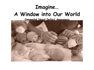 Imagine… A Window into Our World Congenital Heart Defect Awareness 