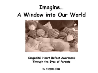 Imagine… A Window into Our World Congenital Heart Defect Awareness Through the Eyes of Parents by Vanessa Sapp 