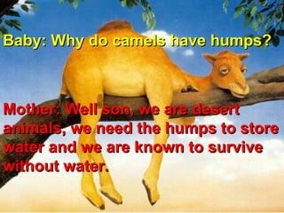 Baby: Why do camels have humps?   Mother: Well son, we are desert animals, we need the humps to store water and we are known to survive without water.  