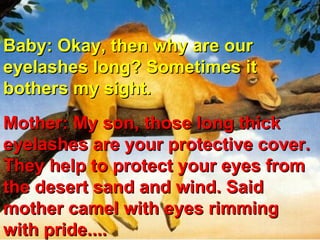 Baby: Okay, then why are our eyelashes long? Sometimes it bothers my sight.  Mother: My son, those long thick eyelashes are your protective cover. They help to protect your eyes from the desert sand and wind. Said mother camel with eyes rimming with pride....  