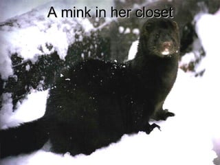 A mink in her closet 
