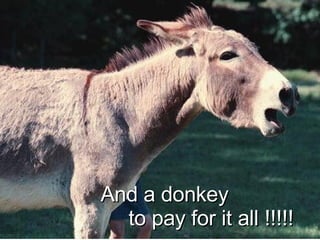 And a donkey  to pay for it all !!!!! 