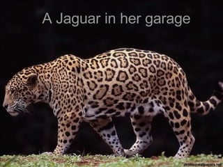 A Jaguar in her garage 