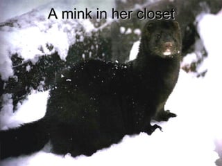 A mink in her closet 