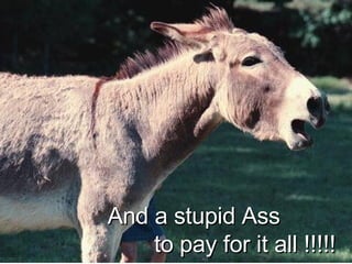 And a stupid Ass  to pay for it all !!!!! 