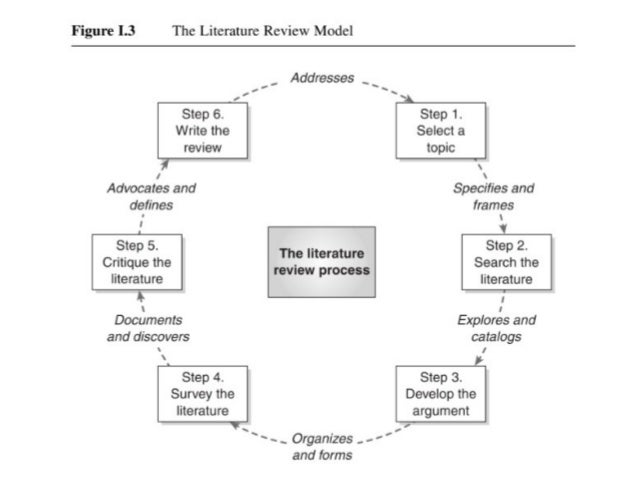What should be included in a literature review image