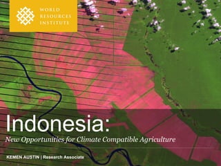 Indonesia:
New Opportunities for Climate Compatible Agriculture

KEMEN AUSTIN | Research Associate
 