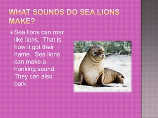 What sounds do sea lions make?Sea lions can roar like lions.  That is how it got their name.  Sea lions can make a honking sound.  They can also bark.