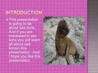 IntroductionThis presentation is going to be about sea lions.  And if you are interested in sea lions you will learn all about sea lionsin this presentation.  And I hope you like this presentation.