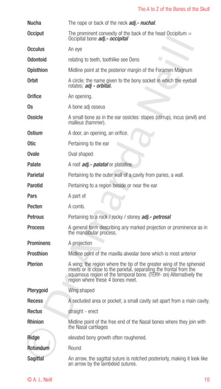 The A to Z of the Bones of the Skull

Nucha           The nape or back of the neck adj.- nuchal.
Occiput         The prominent convexity of the back of the head Occipitum =
                Occipital bone adj.- occipital




                                                     eill
Occulus         An eye
Odontoid        relating to teeth, toothlike see Dens
Opisthion       Midline point at the posterior margin of the Foramen Magnum
Orbit           A circle; the name given to the bony socket in which the eyeball
                rotates; adj - orbital.
Orifice         An opening.




                                     aN
Os              A bone adj osseus
Ossicle         A small bone as in the ear ossicles: stapes (stirrup), incus (anvil) and
                malleus (hammer).
Ostium          A door, an opening, an orifice.
Otic            Pertaining to the ear
Ovale           Oval shaped
                   nd

                                                                                            BONES OF THE SKULL
Palate          A roof adj.- palatal or platatine.
Parietal        Pertaining to the outer wall of a cavity from paries, a wall.
Parotid         Pertaining to a region beside or near the ear
Pars            A part of
                ma

Pecten          A comb.
Petrous         Pertaining to a rock / rocky / stoney adj.- petrosal
Process         A general term describing any marked projection or prominence as in
                the mandibular process.
Prominens       A projection
         rA



Prosthion       Midline point of the maxilla alveolar bone which is most anterior
Pterion         A wing; the region where the tip of the greater wing of the sphenoid
                meets or is close to the parietal, separating the frontal from the
                squamous region of the temporal bone. (TERY- on) Alternatively the
                region where these 4 bones meet.
Pterygoid       Wing shaped
©D




Recess          A secluded area or pocket; a small cavity set apart from a main cavity.
Rectus          straight - erect
Rhinion         Midline point of the free end of the Nasal bones where they join with
                the Nasal cartilages
Ridge           elevated bony growth often roughened.
Rotundum        Round
Sagittal        An arrow, the sagittal suture is notched posteriorly, making it look like
                an arrow by the lambdoid sutures.

© A. L. Neill                                                                          10
 