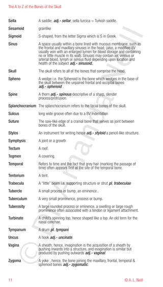The A to Z of the Bones of the Skull


Sella               A saddle; adj.- sellar, sella turcica = Turkish saddle.
Sesamoid            grainlike




                                                               eill
Sigmoid             S-shaped, from the letter Sigma which is S in Greek.
Sinus               A space usually within a bone lined with mucous membrane, such as
                    the frontal and maxillary sinuses in the head, (also, a modified BV
                    usually vein with an enlarged lumen for blood storage and containing
                    no or little muscle in its wall). Sinuses may contain air, venous or
                    arterial blood, lymph or serous fluid depending upon location and
                    health of the subject adj.- sinusoid.
Skull               The skull refers to all of the bones that comprise the head.




                                                 aN
Spheno              A wedge i.e. the Sphenoid is the bone which wedges in the base of
                    the skull between the unpaired frontal and occipital bones
                    adj.- sphenoid .
Spine               A thorn adj.- spinous descriptive of a sharp, slender
                    process/protrusion.
Splanchocranium The splanchocranium refers to the facial bones of the skull.
Sulcus              long wide groove often due to a BV indentation
                             nd
Suture              The saw-like edge of a cranial bone that serves as joint between
                    bones of the skull.
Stylos              An instrument for writing hence adj.- styloid a pencil-like structure.
Symphysis           A joint or a growth
                          ma

Tectum              A roof.
Tegmen              A covering.
Temporal            Refers to time and the fact that grey hair (marking the passage of
                    time) often appears first at the site of the temporal bone.
Tentorium           A tent.
Trabecula           A “little” beam i.e. supporting structure or strut pl. trabeculae
               rA



Tubercle            A small process or bump, an eminence..
Tuberculum          A very small prominence, process or bump.
Tuberosity          A large rounded process or eminence, a swelling or large rough
                    prominence often associated with a tendon or ligament attachment.
Turbinate           A child’s spinning top, hence shaped like a top. An old term for the
©D




                    nasal conchae.
Tympanum            A drum pl. tympani
Uncus               A hook adj.- uncinate.
Vagina              A sheath; hence, invagination is the acquisition of a sheath by
                    pushing inwards into a structure, and evagination is similar but
                    produced by pushing outwards adj.- vaginal.
Zygoma              A yoke , hence, the bone joining the maxillary, frontal, temporal &
                    sphenoid bones adj.- zygomatic.


11                                                                              © A. L. Neill
 
