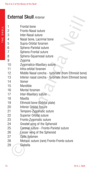 The A to Z of the Bones of the Skull




                 External Skull Anterior




                                                            eill
                 1           Frontal bone
THE SKULL




                 2           Fronto-Nasal suture
                 3           Inter-Nasal suture
                 4           Nasal bone, Lacrimal bone




                                                   aN
                 5           Supra-Orbital foramen
                 6           Spheno-Parietal suture
                 7           Spheno-Frontal suture
                 8           Spheno-Squamosal suture
                 9           Zygoma
                 10          Zygomatico-Maxillary suture
                                         nd
                 11          Infra-orbital foramen
                 12          Middle Nasal concha - turbinate (from Ethmoid bone)
                 13          Inferior nasal concha - turbinate (from Ethmoid bone)
                 14          Vomer
                 15          Mandible
                                      ma

                 16          Mental foramen
                 17          Inter-Maxillary suture
                 18          Maxilla
                 19          Ethmoid bone (Orbital plate)
                 20          Inferior Orbital fissure
                           rA



                 21          Temporo-Zygomatic suture
                 22          Superior Orbital suture
                 23          Fronto-Zygomatic suture
                 24          Greater wing of the Sphenoid
                 25          Coronal suture - Fronto-Parietal suture
            ©D




                 26          Lesser wing of the Sphenoid
                 27          Optic foramen
                 28          Metopic suture (rare) Fronto-Fronto suture
                 29          Glabella




            13                                                         © A. L. Neill
 