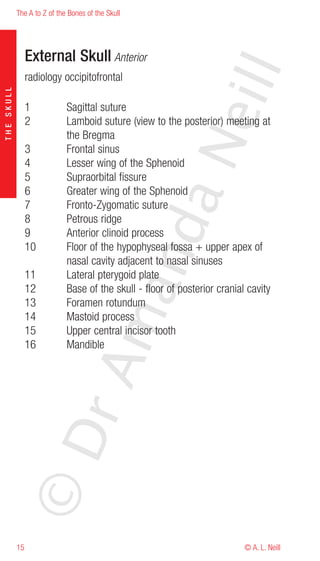 The A to Z of the Bones of the Skull




                 External Skull Anterior




                                                              eill
                 radiology occipitofrontal
THE SKULL




                 1           Sagittal suture
                 2           Lamboid suture (view to the posterior) meeting at
                             the Bregma




                                                    aN
                 3           Frontal sinus
                 4           Lesser wing of the Sphenoid
                 5           Supraorbital fissure
                 6           Greater wing of the Sphenoid
                 7           Fronto-Zygomatic suture
                 8           Petrous ridge
                                         nd
                 9           Anterior clinoid process
                 10          Floor of the hypophyseal fossa + upper apex of
                             nasal cavity adjacent to nasal sinuses
                 11          Lateral pterygoid plate
                                      ma

                 12          Base of the skull - floor of posterior cranial cavity
                 13          Foramen rotundum
                 14          Mastoid process
                 15          Upper central incisor tooth
                 16          Mandible
                           rA
            ©D




            15                                                             © A. L. Neill
 