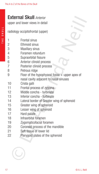 The A to Z of the Bones of the Skull




                 External Skull Anterior




                                                           eill
                 upper and lower views in detail
THE SKULL




                 radiology occipitofrontal (upper)

                 1           Frontal sinus




                                                     aN
                 2           Ethmoid sinus
                 3           Maxillary sinus
                 4           Foramen rotundum
                 5           Supraorbital fissure
                 6           Anterior clinoid process
                 7           Posterior clinoid process
                                         nd
                 8           Petrous ridge
                 9           Floor of the hypophyseal fossa + upper apex of
                             nasal cavity adjacent to nasal sinuses
                 10          Crista galli
                 11          Frontal process of zygoma
                                      ma

                 12          Middle concha - turbinate
                 13          Inferior concha - turbinate
                 14          Lateral border of Greater wing of sphenoid
                 15          Greater wing of sphenoid
                 16          Lesser wing of sphenoid
                           rA



                 17          Hard palate
                 18          Infraorbital foramen
                 19          Zygomaticofacial foramen
                 20          Coronoid process of the mandible
                 21          Soft tissue of lower lid
            ©D




                 22          Pterygoid plates of the sphenoid




            17                                                        © A. L. Neill
 