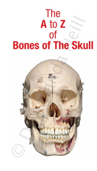 The
     A to Z



          eill
        of
Bones of The Skull
       aN
      nd
   ma
 rA
©D
 