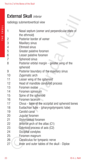 The A to Z of the Bones of the Skull




                 External Skull Inferior




                                                           eill
                 radiology submentovertical view
THE SKULL




                 1           Nasal septum (vomer and perpendicular plate of
                             the ethmoid)
                 2           Posterior border of vomer




                                                   aN
                 3           Maxillary sinus
                 4           Ethmoid sinus
                 5           Greater palatine foramen
                 6           Lesser palatine foramen
                 7           Sphenoid sinus
                 8           Posterior orbital margin - greater wing of the
                                         nd
                             sphenoid
                 9           Posterior boundary of the maxillary sinus
                 10          Zygomatic arch
                 11          Lesser wing of the sphenoid
                                      ma

                 12          Head of mandible condyloid process
                 13          Foramen ovalae
                 14          Foramen spinosum
                 15          Spine of the sphenoid
                 16          Foramen lacerum
                 17          Clivus - base of the occipital and sphenoid bones
                           rA



                 18          Eustachian tube - (pharyngotympanic tube)
                 19          Carotid canal
                 20          Jugular foramen
                 21          Stylomastoid foramen
                 22          Anterior arch of the atlas (C1)
            ©D




                 23          Odontoid process of axis (C2)
                 24          Occipital condyles
                 25          Foramen magnum
                 26          Canaliculus for tympanic nerve
                 27          Inner and outer tables of the skull - Diploe



            23                                                         © A. L. Neill
 