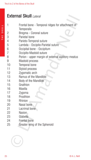 The A to Z of the Bones of the Skull




                 External Skull Lateral




                                                           eill
                 1           Frontal bone - Temporal ridges for attachment of
THE SKULL




                             Temporalis
                 2           Bregma - Coronal suture
                 3           Parietal bone




                                                   aN
                 4           Parieto-Temporal suture
                 5           Lambda - Occipito-Parietal suture
                 6           Occipital bone - Occipitum
                 7           Occipito-Mastoid suture
                 8           Porion - upper margin of external auditory meatus
                 9           Mastoid process
                                         nd
                 10          Temporal bone
                 11          Styloid process
                 12          Zygomatic arch
                 13          Ramus of the Mandible
                 14          Body of the Mandible
                                      ma

                 15          Gnathion
                 16          Maxilla
                 17          Zygoma
                 18          Prosthion
                 19          Rhinion
                           rA



                 20          Nasal bone
                 21          Lacrimal bone
                 22          Nasion
                 23          Glabella
                 24          Frontal bone
            ©D




                 25          Greater wing of the Sphenoid




            25                                                         © A. L. Neill
 