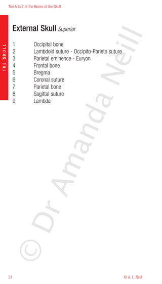 The A to Z of the Bones of the Skull




                 External Skull Superior




                                                           eill
                 1           Occipital bone
THE SKULL




                 2           Lambdoid suture - Occipito-Parieto suture
                 3           Parietal eminence - Euryon
                 4           Frontal bone




                                                   aN
                 5           Bregma
                 6           Coronal suture
                 7           Parietal bone
                 8           Sagittal suture
                 9           Lambda
                                         nd
                                      ma
                           rA
            ©D




            31                                                           © A. L. Neill
 