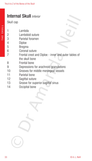 The A to Z of the Bones of the Skull




                 Internal Skull Inferior




                                                            eill
                 Skull cap
THE SKULL




                 1           Lambda
                 2           Lambdoid suture
                 3           Parietal foramen




                                                   aN
                 4           Diploe
                 5           Bregma
                 6           Coronal suture
                 7           Frontal crest and Diploe - inner and outer tables of
                             the skull bone
                 8           Frontal bone
                                         nd
                 9           Depressions for arachnoid granulations
                 10          Grooves for middle meningeal vessels
                 11          Parietal bone
                 12          Sagittal suture
                                      ma

                 13          Groove for superior sagittal sinus
                 14          Occipital bone
                           rA
            ©D




            33                                                          © A. L. Neill
 