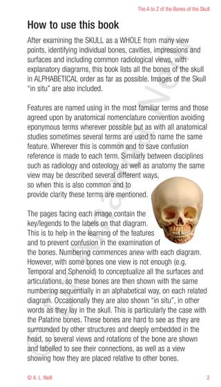 The A to Z of the Bones of the Skull


How to use this book
After examining the SKULL as a WHOLE from many view




                                       eill
points, identifying individual bones, cavities, impressions and
surfaces and including common radiological views, with
explanatory diagrams, this book lists all the bones of the skull
in ALPHABETICAL order as far as possible. Images of the Skull
“in situ” are also included.




                              aN
Features are named using in the most familiar terms and those
agreed upon by anatomical nomenclature convention avoiding
eponymous terms wherever possible but as with all anatomical
studies sometimes several terms are used to name the same
feature. Wherever this is common and to save confusion
                   nd
reference is made to each term. Similarly between disciplines
such as radiology and osteology as well as anatomy the same
view may be described several different ways,
so when this is also common and to
provide clarity these terms are mentioned.
                ma

The pages facing each image contain the
key/legends to the labels on that diagram.
This is to help in the learning of the features
and to prevent confusion in the examination of
       rA



the bones. Numbering commences anew with each diagram.
However, with some bones one view is not enough (e.g.
Temporal and Sphenoid) to conceptualize all the surfaces and
articulations, so these bones are then shown with the same
numbering sequentially in an alphabetical way, on each related
©D




diagram. Occasionally they are also shown “in situ”, in other
words as they lay in the skull. This is particularly the case with
the Palatine bones. These bones are hard to see as they are
surrounded by other structures and deeply embedded in the
head, so several views and rotations of the bone are shown
and labelled to see their connections, as well as a view
showing how they are placed relative to other bones.

© A. L. Neill                                                             2
 