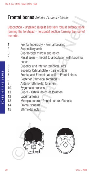 The A to Z of the Bones of the Skull




                          Frontal bones Anterior / Lateral / Inferior




                                                                     eill
                          Description - Unpaired largest and very robust anterior bone
                          forming the forehead - horizontal section forming the roof of
                          the orbit.




                                                            aN
                          1           Frontal tuberosity - Frontal bossing
                          2           Superciliary arch
                          3           Supraorbital margin and notch
                          4           Nasal spine - medial to articulation with Lacrimal
                                      bones
                          5           Superior and inferior temporal lines
                                                  nd
                          6           Superior Orbital plate - pars orbitalis
BONES OF THE SKULL




                          7           Frontal and Ethmoid air cells - Frontal sinus
                          8           Posterior Ethmoidal foramen
                          9           Anterior Ethmoidal foramen
                          10          Zygomatic process
                                               ma

                          11          Supra - Orbital notch or foramen
                          12          Lacrimal fossa
                          13          Metopic suture - frontal suture, Glabella
                          14          Frontal squama
                          15          Ethmoidal notch
                                    rA
                     ©D




                     39                                                          © A. L. Neill
 