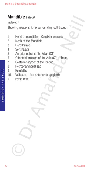 The A to Z of the Bones of the Skull




                          Mandible Lateral




                                                                   eill
                          radiology
                          Showing relationship to surrounding soft tissue

                          1      Head of mandible – Condylar process
                          2      Neck of the Mandible




                                                            aN
                          3      Hard Palate
                          4      Soft Palate
                          5      Anterior notch of the Atlas (C1)
                          6      Odontoid process of the Axis (C2) – Dens
                          7      Posterior aspect of the tongue
                          8      Retropharyngeal sac
                                                  nd
                          9      Epiglottis
BONES OF THE SKULL




                          10     Vallecula - fold anterior to epiglottis
                          11     Hyoid bone
                                               ma
                                    rA
                     ©D




                     47                                                     © A. L. Neill
 