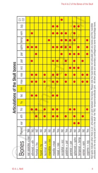 © A. L. Neill
                ©D
                                              rA
                                                                        ma
                                                                           nd
                                                                                                                        aN
                                                                                                                                                     eill




4
                                                                                                                                                                                The A to Z of the Bones of the Skull




                Red spots indicate when there is an articulation or joint between the bones. Please note the hyoid does not articulate with any bones and the mandible
                articulates at the only synovial joint in the skull- the TMJ -temporomandibular joint. All other joints are secondary cartilagenous bone-fibrocartilage-bone.
 