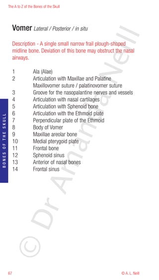 The A to Z of the Bones of the Skull




                          Vomer Lateral / Posterior / in situ




                                                                    eill
                          Description - A single small narrow frail plough-shaped
                          midline bone. Deviation of this bone may obstruct the nasal
                          airways.




                                                            aN
                          1           Ala (Alae)
                          2           Articulation with Maxillae and Palatine
                                      Maxillovomer suture / palatinovomer suture
                          3           Groove for the nasopalantine nerves and vessels
                          4           Articulation with nasal cartilages
                          5           Articulation with Sphenoid bone
                                                  nd
                          6           Articulation with the Ethmoid plate
BONES OF THE SKULL




                          7           Perpendicular plate of the Ethmoid
                          8           Body of Vomer
                          9           Maxillae areolar bone
                          10          Medial pterygoid plate
                                               ma

                          11          Frontal bone
                          12          Sphenoid sinus
                          13          Anterior of nasal bones
                          14          Frontal sinus
                                    rA
                     ©D




                     67                                                        © A. L. Neill
 
