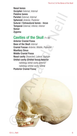 The A to Z of the Bones of the Skull

     Nasal bones
     Occipital External, Internal
     Palatine bones
     Parietal External, Internal




                                          eill
     Sphenoid Anterior, Posterior
     Sutural / Extrasutural bones - Incus
     Temporal External, Inferior, Interior
     Vomer
     Zygoma




                                aN
     Cavities of the Skull 71-90
     Anterior Cranial Fossa
     Base of the Skull internal
     Cranial Fossae Anterior, Middle, Posterior
     Maxillary Sinus
     Middle Cranial Fossa
                   nd
     Nasal cavity Dissected, Lateral, Septum
     Orbital cavity (Orbital fossa) Anterior
           radiology obital cavity anterior
           radiology orbital cavity lateral
     Posterior Cranial Fossa
                ma
       rA
©D




© A. L. Neill                                                                  6
 