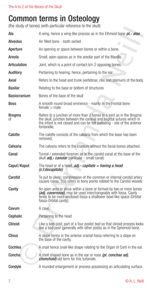 The A to Z of the Bones of the Skull


Common terms in Osteology
(the study of bones) (with particular reference to the skull)
Ala                 A wing, hence a wing-like process as in the Ethmoid bone pl.- alae.




                                                               eill
Alveolus            Air filled bone - tooth socket
Aperture            An opening or space between bones or within a bone.
Areola              Small, open spaces as in the areolar part of the Maxilla.
Articulation        Joint, which is a point of contact b/n 2 opposing bones.
Auditory




                                                 aN
                    Pertaining to hearing, hence, pertaining to the ear.
Axial               Refers to the head and trunk (vertebrae, ribs and sternum) of the body.
Basilar             Relating to the base or bottom of structures
Basiocranium        Bones of the base of the skull
Boss                A smooth round broad eminence - mainly in the Frontal bone
                    female > male
                             nd
Bregma              Refers to a junction of more than 2 bones in a joint as in the Bregma
of                  the skull, junction between the coronal and sagittal sutures which in
                    the infant is not closed and can be felt pulsating - site of the anterior
                    fontanelle.
Calotte             The calotte consists of the calvaria from which the base has been
                    removed.
Calvaria            The calvaria refers to the cranium without the facial bones attached.
                          ma

Canal               Tunnel / extended foramen as in the carotid canal at the base of the
                    skull adj,- canular (canicular - small canal)
Caput / Kaput       The head or of a head, adj.- capitate = having a head
                    (c.f.decapitate)
Carotid             To put to sleep; compression of the common or internal carotid artery
                    causes coma. This refers to bony points related to the Carotid vessels
                rA



Cavity              An open area or sinus within a bone or formed by two or more bones
                    (adj. cavernous), may be used interchangeably with fossa. Cavity
                    tends to be more enclosed fossa a shallower bowl like space (Orbital
                    fossa-Orbital cavity).
Cavum               A cave.
Cephalic            Pertaining to the head
©D




Clinoid             Like a bed-post, part of a four poster bed so that clinoid process looks
                    like a bed post (generally with other posts) as in the Sphenoid bone.
Clivus              A slope hence in the anterior cranial fossa referring to a slope on
                    the base of the cavity.
Cochlea             A snail hence snail-like shape relating to the Organ of Corti in the ear.
Concha              A shell shaped bone as in the ear or nose (pl. conchae adj.
                    chonchoid) old term for this turbinate.
Condyle             A rounded enlargement or process possessing an articulating surface.


7                                                                                © A. L. Neill
 
