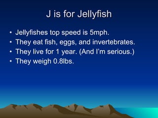 J is for Jellyfish Jellyfishes top speed is 5mph. They eat fish, eggs, and invertebrates. They live for 1 year. (And I’m serious.) They weigh 0.8lbs. 