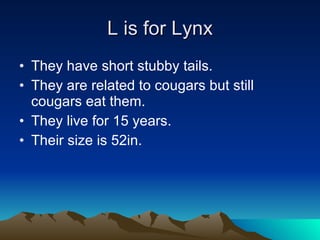 L is for Lynx They have short stubby tails. They are related to cougars but still cougars eat them. They live for 15 years. Their size is 52in. 